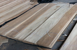 شرائح قشرة خشب البتولا المقطعة بشكل طبيعي للأثاث